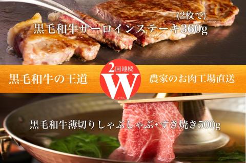 【全２回定期便】ステーキ＆すき焼き・しゃぶしゃぶ！W黒毛和牛の王道定期便(水迫畜産/Z024-627) 牛肉 牛 肉 黒毛和牛 A5等級 国産 鹿児島 いぶすき