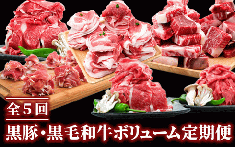 【全５回定期便】黒豚 ・ 黒毛 和牛 ボリューム 定期便7月～11月発送(水迫畜産/Z050-598) 豚 牛 肉 生ハム 切り落とし カレー シチュー 肉じゃが 生姜焼き 家庭用 豚肉 牛肉 国産 鹿児島県産 鹿児島 指宿 いぶすき 頒布会 定期 定期便