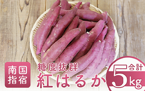 【2025年12月上旬～発送】糖度抜群 あま～い！紅はるか芋約5kg(岡村商店/A-113)