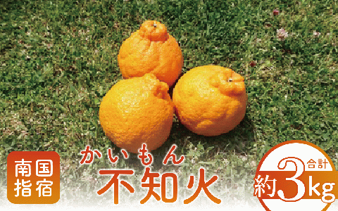 【2026年発送】かいもん不知火 約3kg(迫田果樹園/010-211) しらぬい みかん フルーツ 柑橘 旬 果物 いぶすき 指宿 鹿児島 開聞 完熟 果実 春