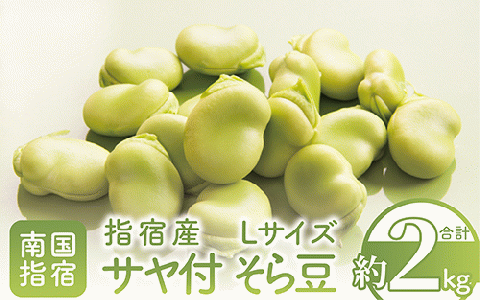 【2026年1月中旬～発送】指宿産サヤ付そらまめLサイズ約2kg(岡村商店/A-129) 鹿児島県 そらまめ ソラマメ そら豆 豆 旬 指宿市 春 野菜 サラダ おつまみ