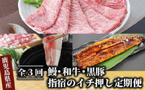 【全３回定期便】鰻・和牛・黒豚 指宿のイチ押し定期便(Z055-294)