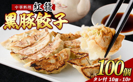 黒豚餃子 10個入×10パック【地元の中華料理店で人気！】(紅龍/010-1577) ぎょうざ 冷凍 ギョウザ 餃子鍋 点心 飲茶 中華 惣菜 そうざい おかず 簡単 野菜 黒豚 豚 指宿 指宿市 鹿
