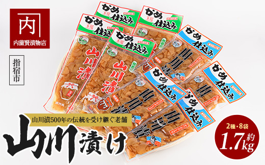 老舗「内薗賢漬物店」の本場山川漬セット(活お海道/IB046-009) 鹿児島 指宿 山川 漬物 つけもの お漬物 おつけもの やまがわ 山川漬 野菜 詰め合わせ セット お茶うけ お弁当 おかず 国産 ご飯のお供 ごはんのおとも だいこん 大根