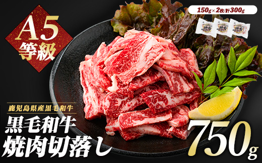 A5等級鹿児島県産黒毛和牛焼肉切り落とし750g(250g×3P)(カミチク/IB112-016) 牛肉 牛 肉 お肉 黒毛和牛 黒毛 国産牛 国産 鹿児島県産 バーベキュー 切落し 和牛 A5 A5ランク ミスジ ウワミスジ インサイド ミックス キャンプ BBQ 野菜炒め 炒め物 家庭用 冷凍 小分け 焼肉用
