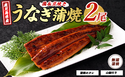 鹿児島県産うなぎ蒲焼 無頭背開き2尾(奈良/012-1667) ウナギ 鰻 うなぎ 国産 うなぎ蒲焼 蒲焼 かば焼き 蒲焼き かばやき 土用の丑の日 丑の日 うな丼 うな重 鹿児島県産 鹿児島産 指宿 いぶすき 長焼き 真空パック たれ