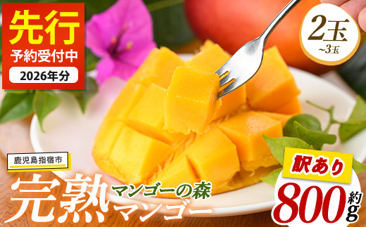 【2026年 発送】【訳あり】しあわせ完熟マンゴー 約800g(マンゴーの森/016-2055) 2玉 ～ 3玉 国産 南国 指宿産 鹿児島 アップルマンゴー マンゴー 果物 くだもの フルーツ 完熟 産地直送 お取り寄せ