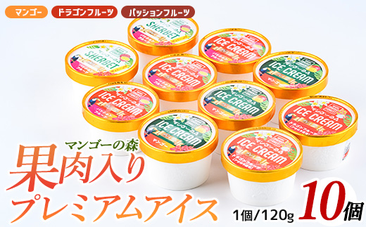 ゴロゴロ果肉入りプレミアムアイス10個セット(マンゴーの森/022-1211)