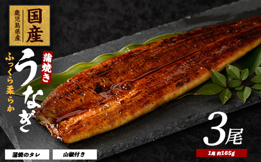 【2025年12月21日までのご入金で年内発送】【鹿児島県産】うなぎ蒲焼じっくり焼き約165g×3尾 化粧箱入り(大新/023-1105)