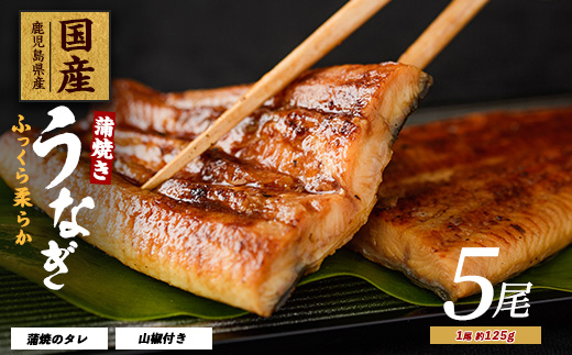 【鹿児島県産】うなぎ蒲焼じっくり焼き約125g×5尾 化粧箱入り(大新/026-1903) 鰻 ウナギ 蒲焼 国産 丑の日 うな重 無頭 ギフト プレゼント 贈り物 贈答 惣菜 総菜 小分け レンジ 簡単 蒲焼き 冷凍 鹿児島県産