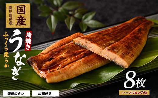 【鹿児島県産】うなぎ蒲焼じっくり焼きハーフカット約70g×8枚 化粧箱入り(大新/031-1904) 鰻 ウナギ 蒲焼 国産 丑の日 うな重 無頭 ギフト プレゼント 贈り物 贈答 惣菜 総菜 小分け レンジ 簡単 蒲焼き ハーフサイズ 冷凍 鹿児島県産