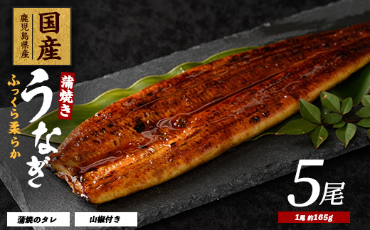 【2025年12月21日までのご入金で年内発送】【鹿児島県産】うなぎ蒲焼じっくり焼き約165g×5尾 化粧箱入り(大新/037-1106)