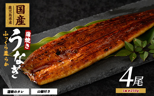 【2025年12月21日までのご入金で年内発送】【鹿児島県産】うなぎ蒲焼じっくり焼き約250g×4尾 木目化粧箱入り(大新/038-1108) 鰻 蒲焼 国産 丑の日 うな重 無頭 ギフト ふっくら 小分け レンジ 簡単