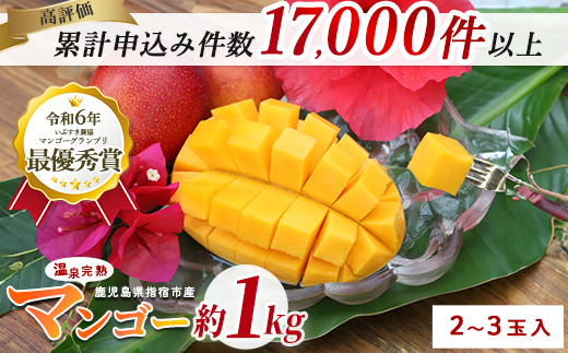 【2026年 発送 先行予約】【訳あり】鹿児島県いぶすき産 温泉完熟マンゴー約1kg(T&P/IB057-001) マンゴー フルーツ 果物 旬 夏 指宿 いぶすき 鹿児島  完熟  グルメ 南国 南国フルーツ 果実 マンゴー 太陽 国産 鹿児島県産