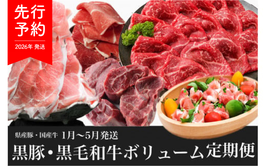 【2026年発送 先行予約】【全５回定期便】黒豚 ・ 黒毛 和牛 ボリューム 定期便 1月～5月発送(水迫畜産/Z050-531)