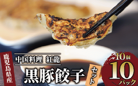 黒豚餃子 10個入×10パック[地元の中華料理店で人気!](紅龍/010-1577) ぎょうざ 冷凍 ギョウザ 餃子鍋 点心 飲茶 中華 惣菜 そうざい おかず 簡単 野菜 黒豚 豚 指宿 指宿市 鹿