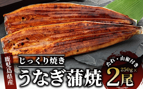 桜島の火山灰で鹿児島県産天然鯛を一晩熟成 旨味が詰まった『薩摩の灰