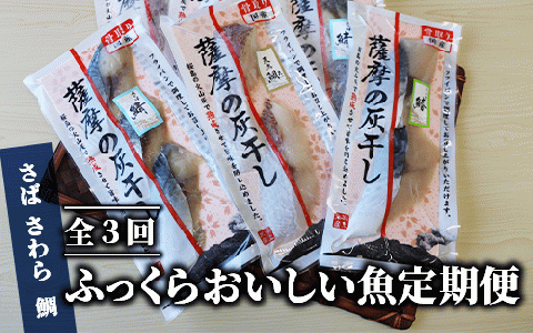 [全3回定期便]ふっくらおいしい魚定期便(浜上水産/Z-057)