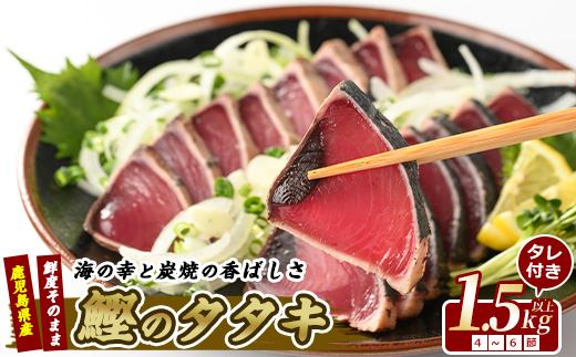 【カツオのたたき だしポン酢付き！】カツオ堪能セット(指宿食品/012-1038)