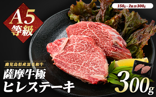 薩摩牛 極 ヒレステーキ 300g(2枚入)(カミチク/IB112-018) A5 国産 牛肉 牛 ブランド牛 黒毛和牛 鹿児島県産 黒毛 A5ランク 国産牛 お肉 肉 ヒレ ヒレ肉 鉄板焼き 鹿児島 指宿 鹿児島県産 ギフト おかず ご褒美 ステーキ 和牛 冷凍 厚切り 厚切りステーキ きわみ 極み 薩摩 薩摩牛 さつま