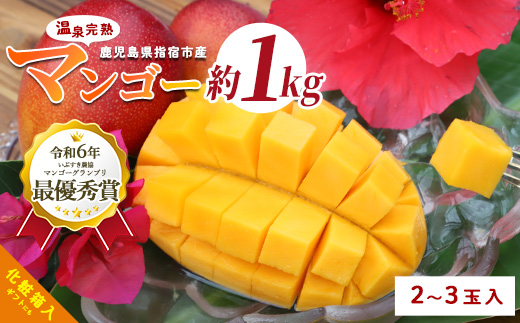 【2026年 発送 先行予約】鹿児島県いぶすき産 温泉完熟マンゴー約1kg(T&P/IB057-003) マンゴー フルーツ 果物 旬 夏 指宿 いぶすき 鹿児島  完熟  お供え 御供 ギフト 贈り物 プレゼント グルメ 予約 先行予約 南国 南国フルーツ 果実 マンゴー 太陽 国産 鹿児島県産 果汁