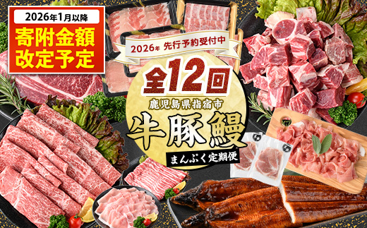 【2026年発送 先行予約】【全１２回定期便】鹿児島自慢の 豚 ・ 牛 ・ うなぎ まんぷく 定期便 (水迫畜産/Z100-1773)
