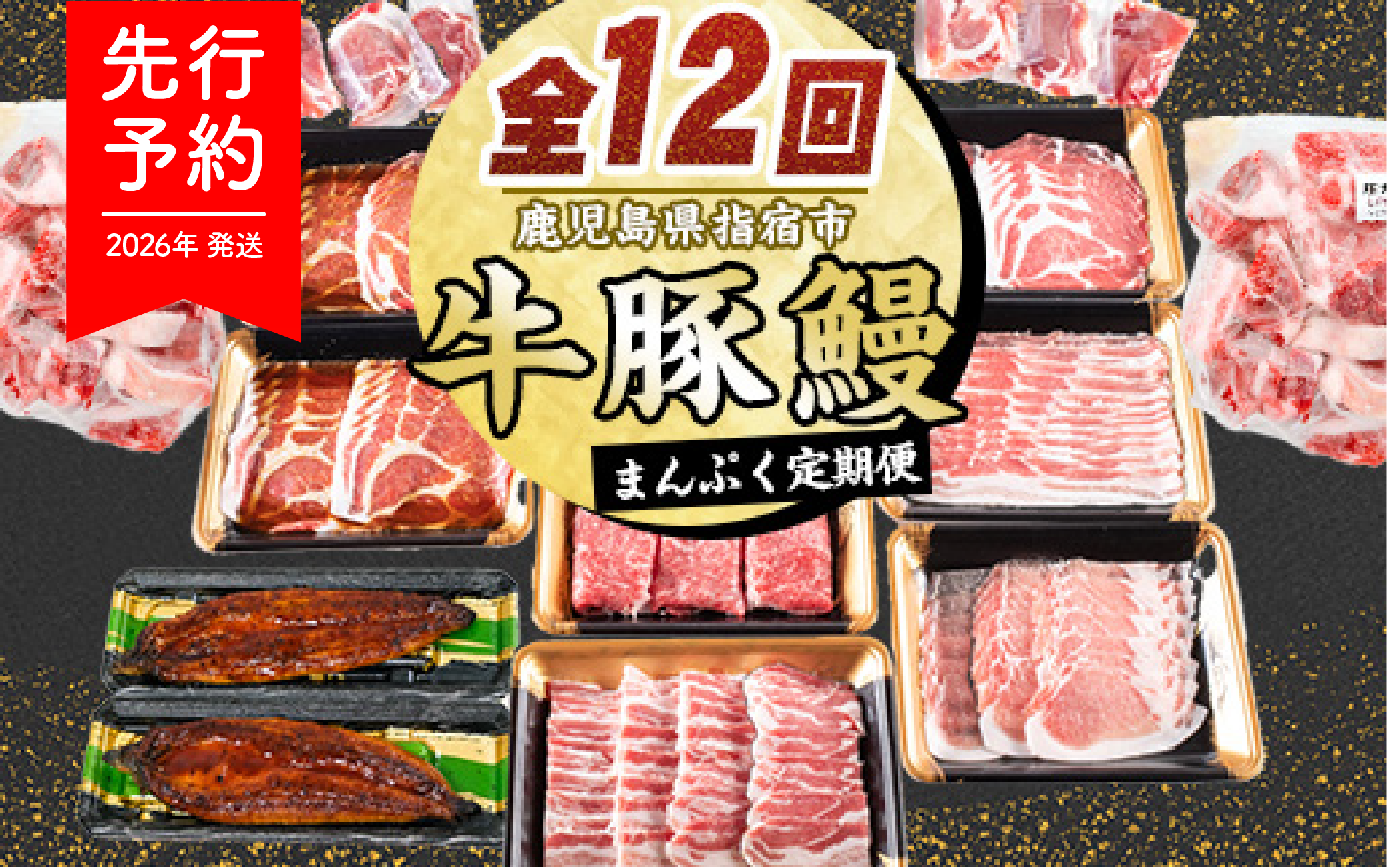 【2026年発送 先行予約】【全１２回定期便】鹿児島自慢の 豚 ・ 牛 ・ うなぎ まんぷく 定期便 (水迫畜産/Z100-1773)