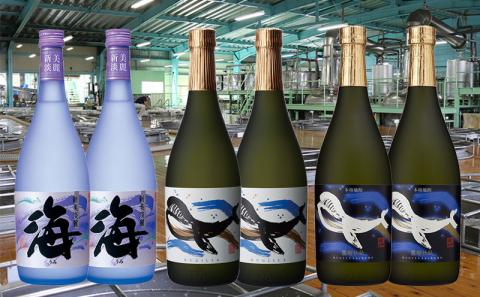 C3-25114／大海酒造 720ml 6本セット