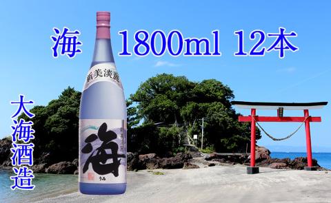 J13-2534／大海酒造 海 1800ml 12本セット
