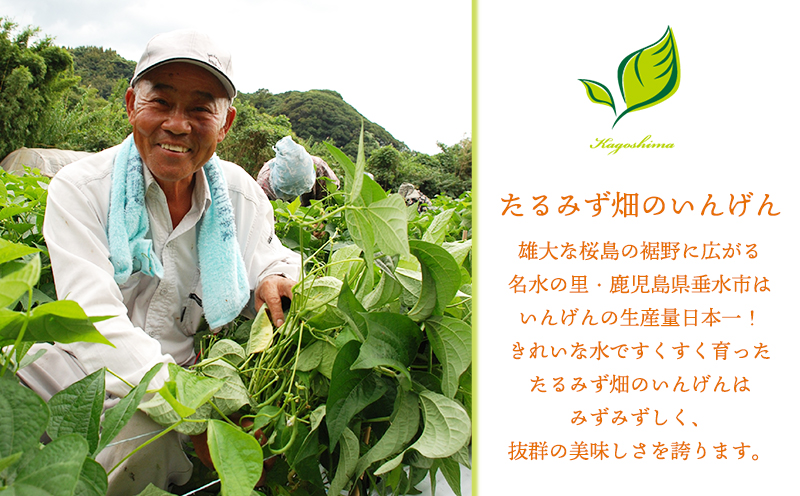 A1-0754／たるみずスープセット（いんげんポタージュ＆とんとこ海老）