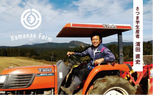 A1-5416／焼き芋アイス 紅はるか(6カップ)