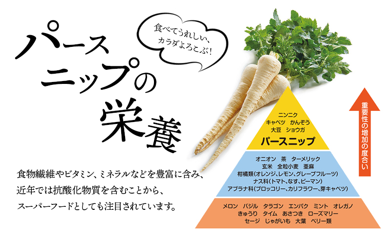 パースニップチップス (25g×6袋)