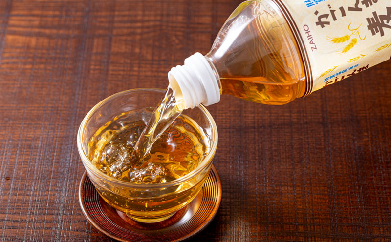 C3-22130／【3回定期】かごんま麦茶　500ml×48本