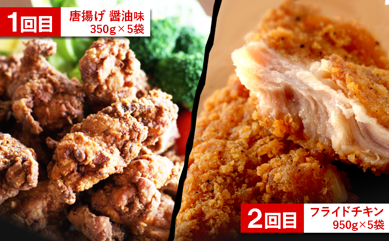 H8-2101／【6回定期便】鶏肉加工品　惣菜定期便