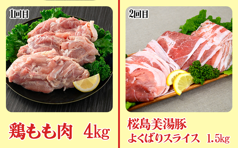 I9-0402／【6回定期便】鹿児島県産 豚肉＆鶏肉 バラエティ定期便