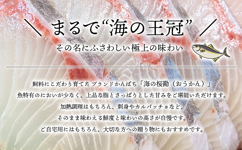 J11-0101／【3回定期】垂水カンパチ『海の桜勘』皮無しロイン 2.1kg （計6.3kg）