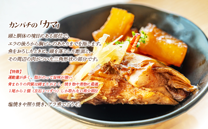 W-0102／垂水カンパチ『海の桜勘』 カマ 4個（計800g以上）
