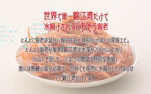 W-0713／垂水ご当地スープ　とんとこ海老　エコ