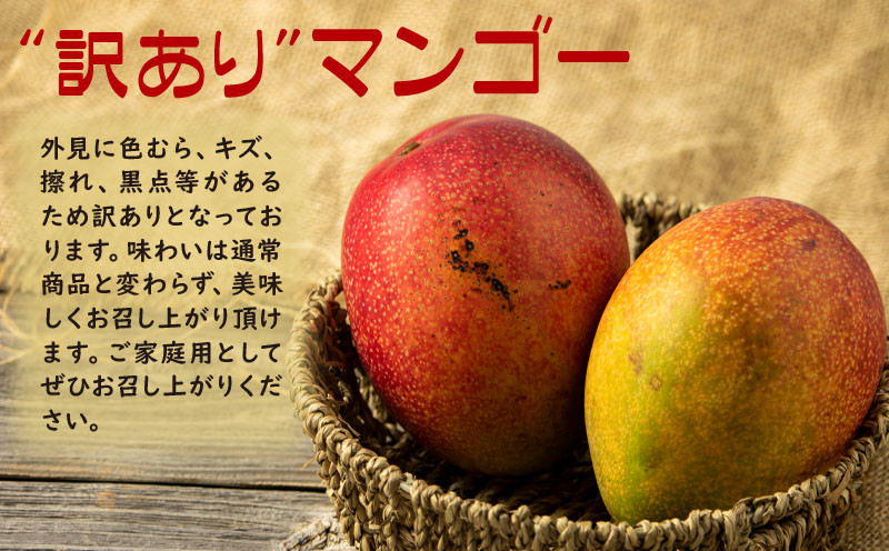 W-22201／【訳あり品】鹿児島産 温泉マンゴー 700g 期間限定 【2026年夏発送】