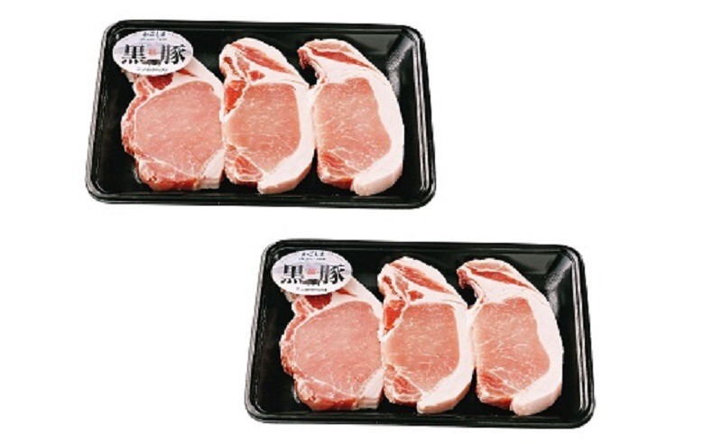 A1-1621／鹿児島黒豚とんかつセット