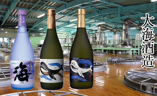 B2-25176／大海酒造 　720ml　3本セット