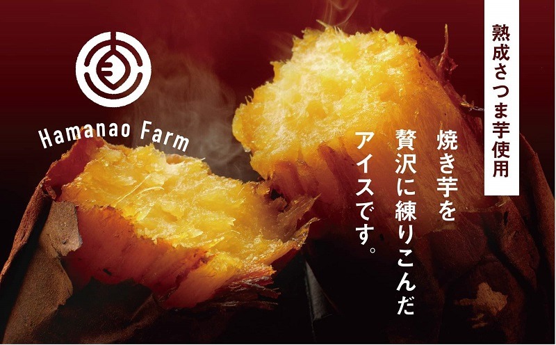 B2-5406／焼き芋アイス 紅はるか(12カップ)