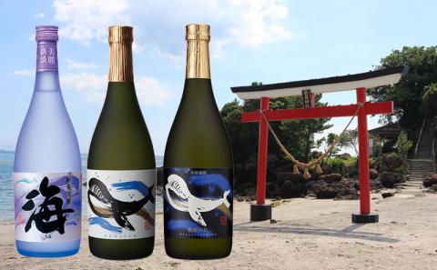 C3-25114／大海酒造 720ml 6本セット