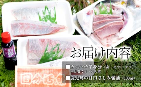 B2-6401／【鹿児島県垂水市産】カンパチ（半身）　甘口さしみ醤油付き