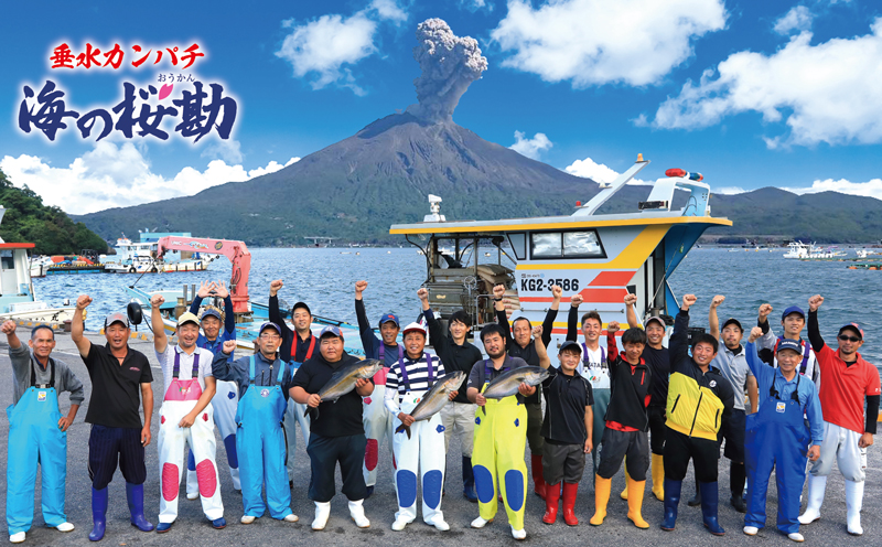 A1-0125／カンパチ頭煮付け　びんた煮　４個（冷凍あら煮）