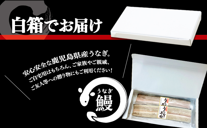 A1-1805　鹿児島県産　うなぎ干物　1尾（120g以上）×2袋