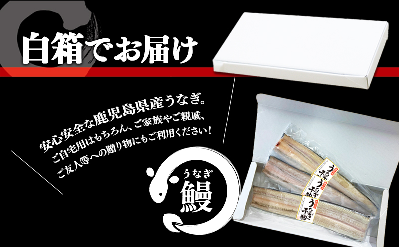 A1-1806　鹿児島県産　うなぎ干物　1尾（120g以上）×3袋