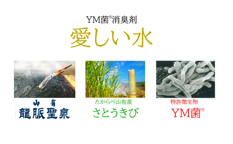 B2-6801／ＹＭ菌 消臭剤 愛しい水 2L×3本 ＆ スプレー セット
