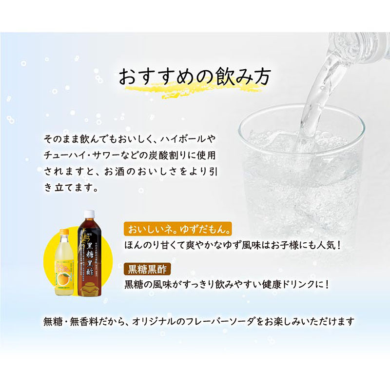 C3-22140／【3回定期】財寶温泉　強炭酸水 500ml×48本