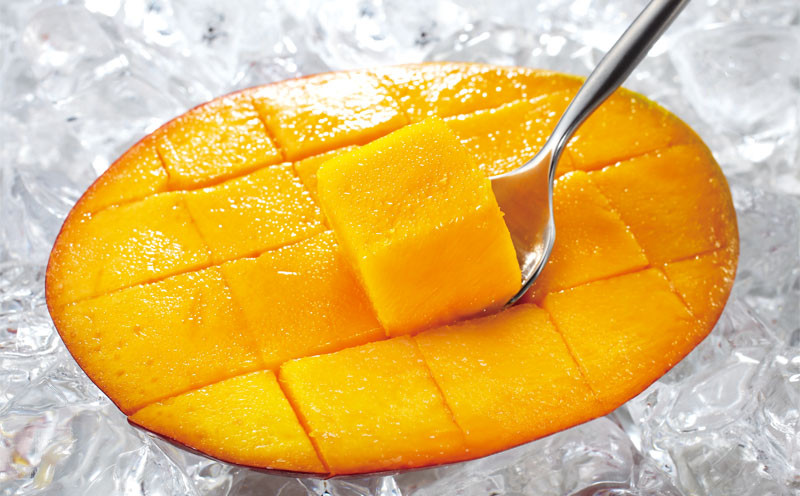 C3-22143／【訳あり品】鹿児島産 温泉マンゴー 3kg 期間限定 【2026年夏発送】